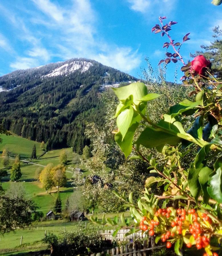Pension Stammerhof Schladming Kültér fotó