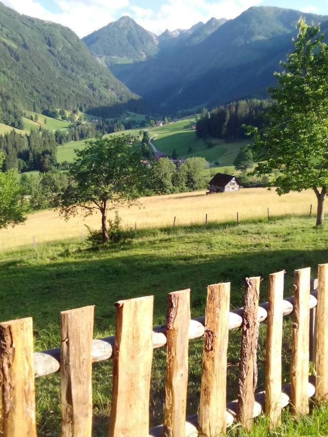 Pension Stammerhof Schladming Kültér fotó