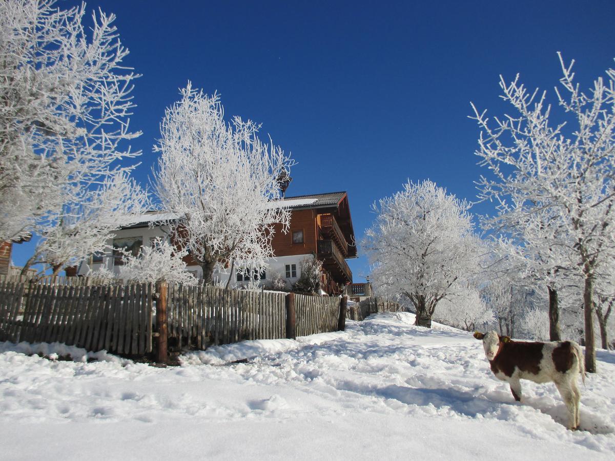 Pension Stammerhof Schladming Kültér fotó